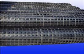 鋼塑土工格柵檢測施工效果好 邯鄲鋼塑土工格柵 水木工程材料高清圖片 高清大圖