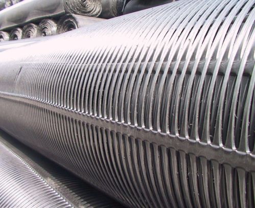 龍口鋼塑土工格柵批發價現在是什么價格