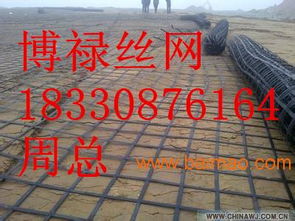 鋼塑土工格柵,鋼塑土工格柵生產廠家,鋼塑土工格柵價格