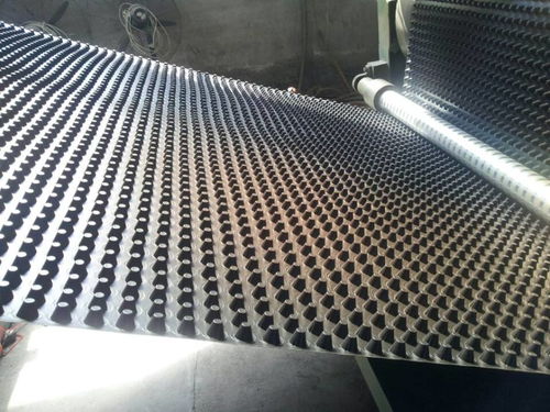 鋼塑土工格柵河北實體公司